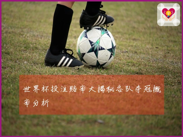 世界杯投注赔率大揭秘各队夺冠概率分析