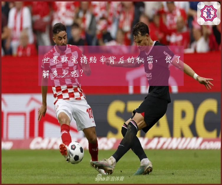 世界杯竞猜赔率背后的秘密，你了解多少呢？