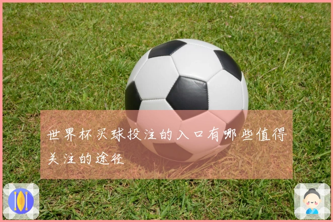 世界杯买球投注的入口有哪些值得关注的途径