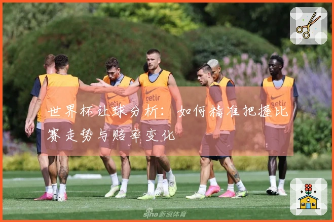 世界杯让球分析：如何精准把握比赛走势与赔率变化