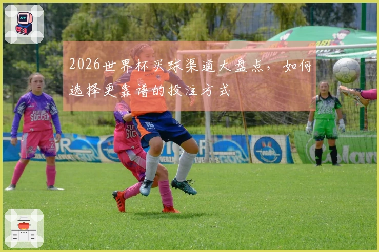 2026世界杯买球渠道大盘点，如何选择更靠谱的投注方式