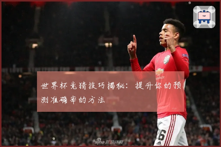 世界杯竞猜技巧揭秘：提升你的预测准确率的方法