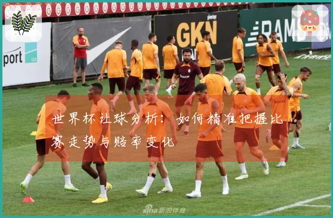 世界杯让球分析：如何精准把握比赛走势与赔率变化