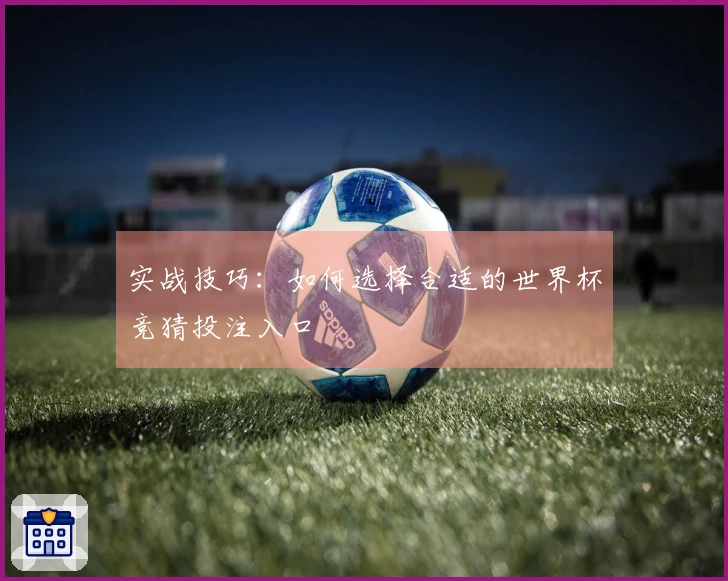 实战技巧：如何选择合适的世界杯竞猜投注入口