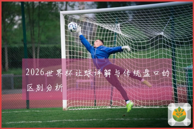 2026世界杯让球详解与传统盘口的区别分析