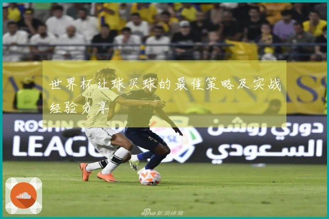 世界杯让球买球的最佳策略及实战经验分享