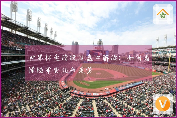 世界杯竞猜投注盘口解读：如何看懂赔率变化和走势