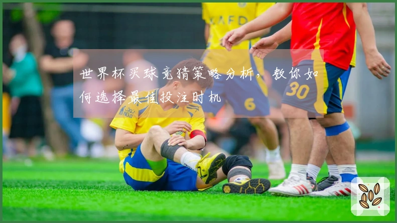 世界杯买球竞猜策略分析，教你如何选择最佳投注时机
