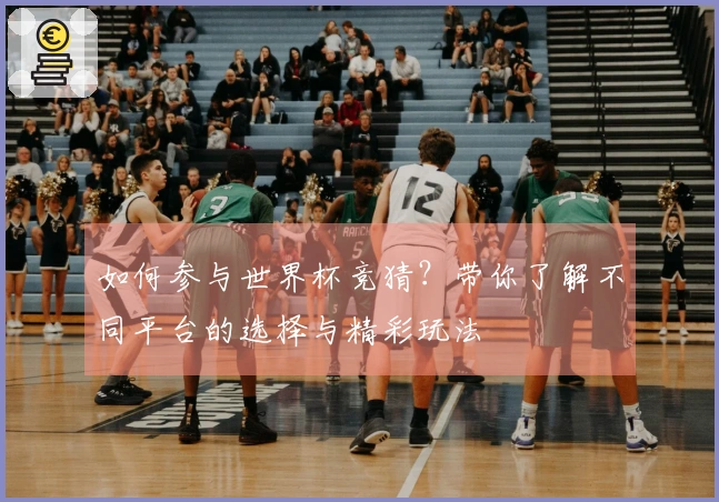 如何参与世界杯竞猜？带你了解不同平台的选择与精彩玩法