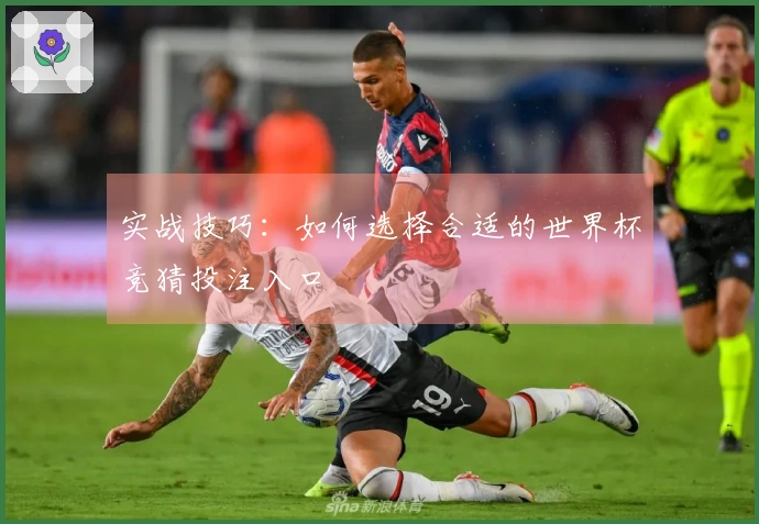 实战技巧：如何选择合适的世界杯竞猜投注入口