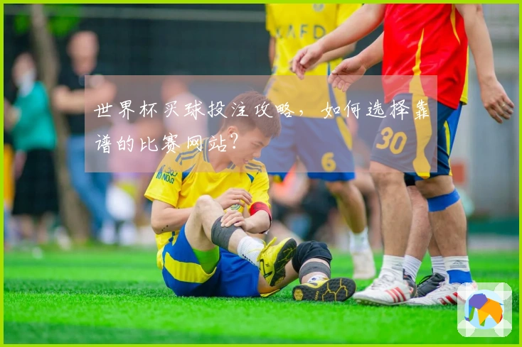 世界杯买球投注攻略，如何选择靠谱的比赛网站？